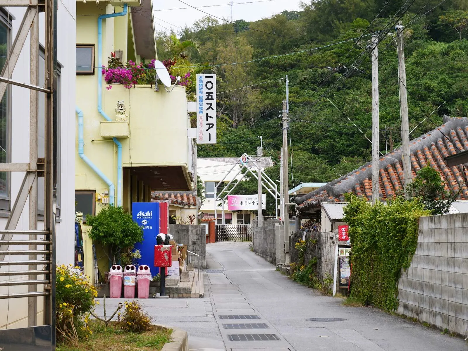 座間味村に移住し、役場職員として活躍しながら家族との新しい生活を