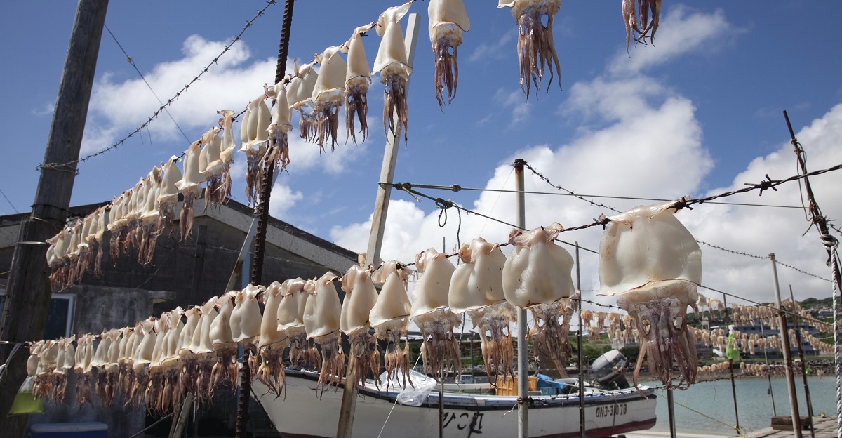 ９月１９日（月祝）大阪｜漁師の仕事！まるごとイベント「漁業就業支援フェア2022」開催のご案内