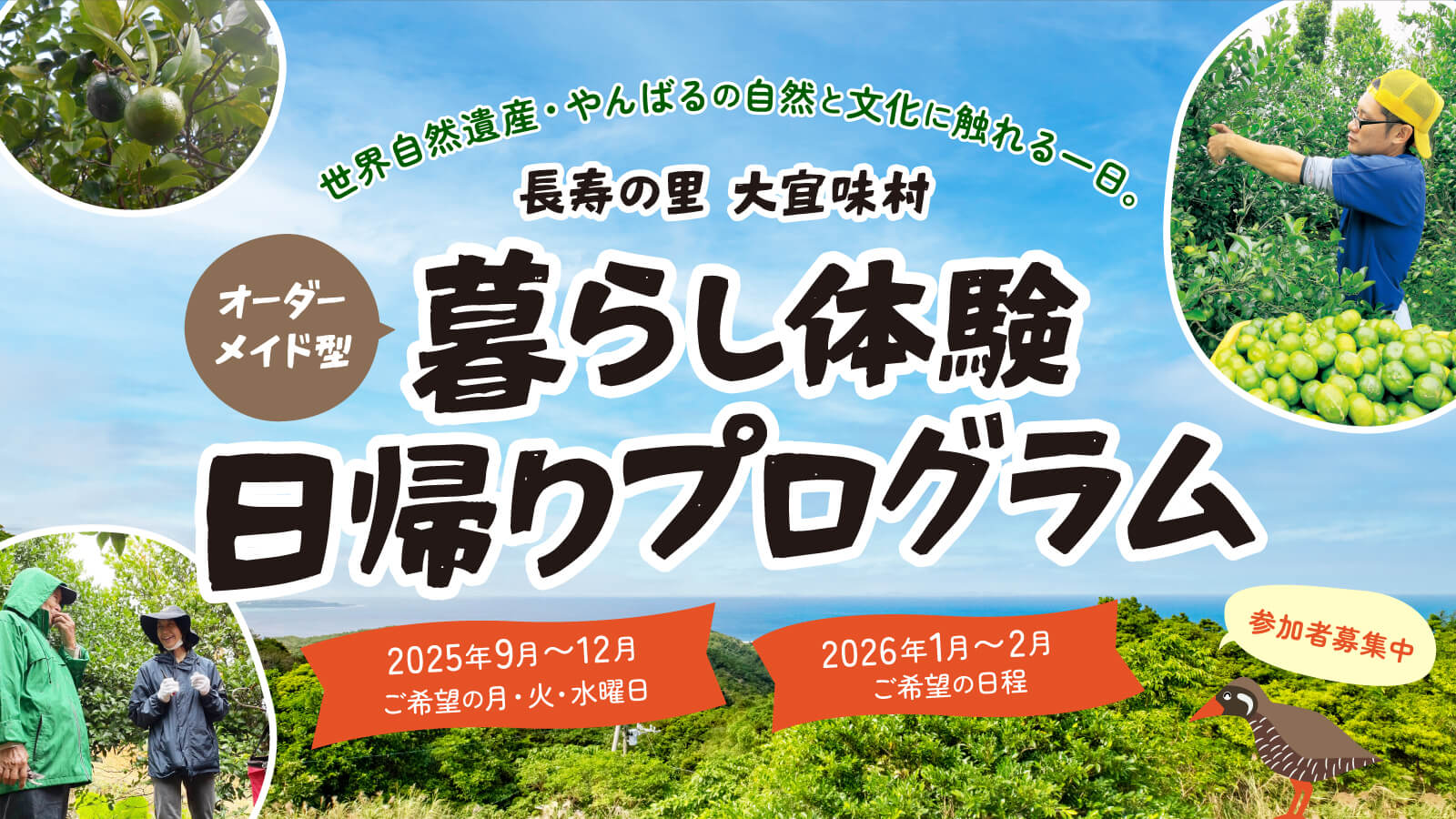 “世界自然遺産”やんばるの自然と文化に触れる一日。長寿の里の暮らしを覗く、オーダーメイド型大宜味村「暮らし体験」日帰りプログラム 参加者募集中！