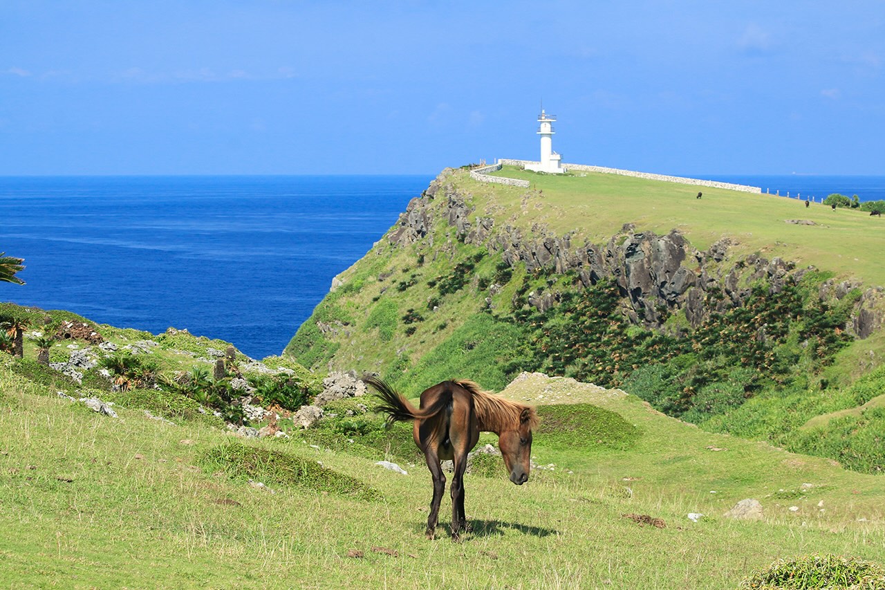 日本最西端　与那国島＼オーダーメイド型／移住体験プログラムで島ぐらしを体験してみませんか？（通年受付）