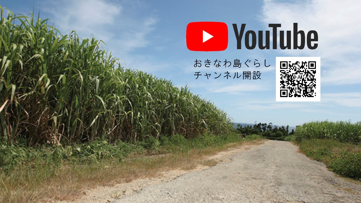おきなわ島ぐらし公式 Youtubeチャンネル開設のお知らせ 沖縄県公式移住応援サイト おきなわ島ぐらし